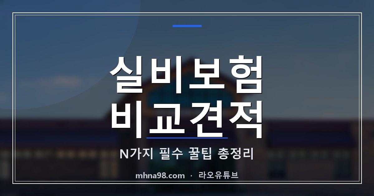 라오유튜브 | 실비보험 비교견적 N가지 필수 꿀팁 총정리 실비보험 비교견적 관련 이미지