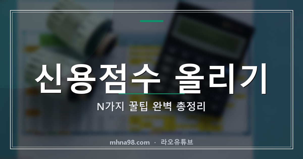 라오유튜브 | 신용점수 올리기 N가지 꿀팁 완벽 총정리 신용점수 올리기 가이드 이미지