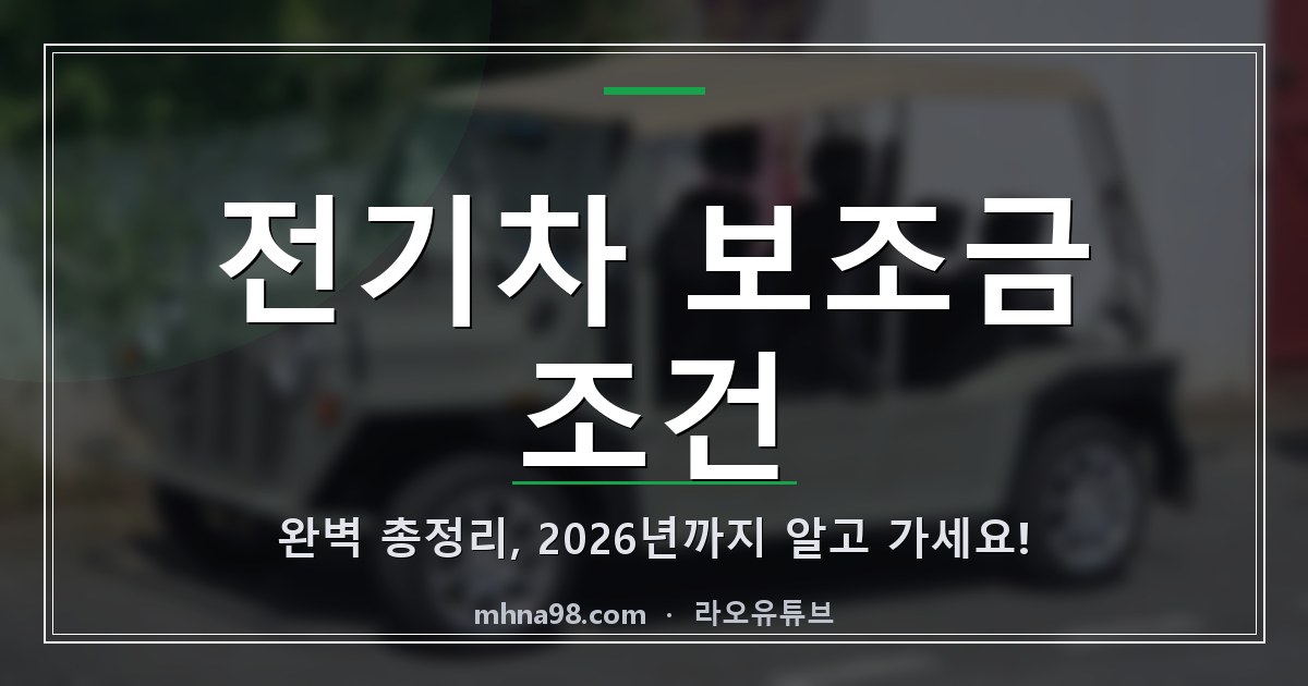 라오유튜브 | 전기차 보조금 조건 완벽 총정리, 2026년까지 알고 가세요! 전기차 보조금 조건 관련 이미지
