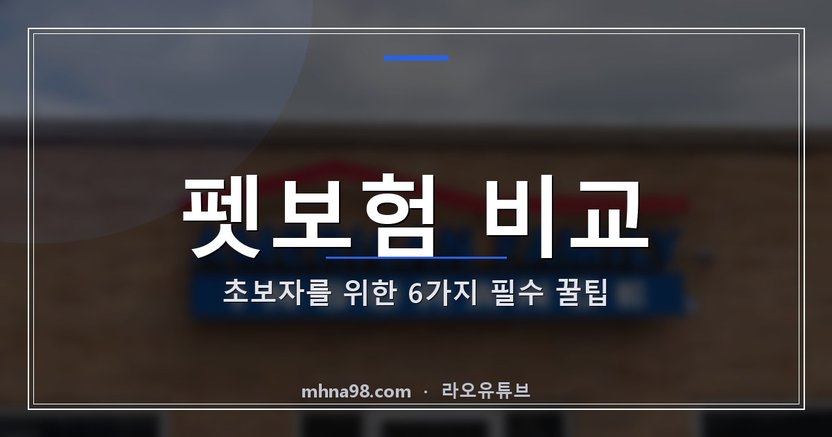 펫보험 비교: 초보자를 위한 6가지 필수 꿀팁