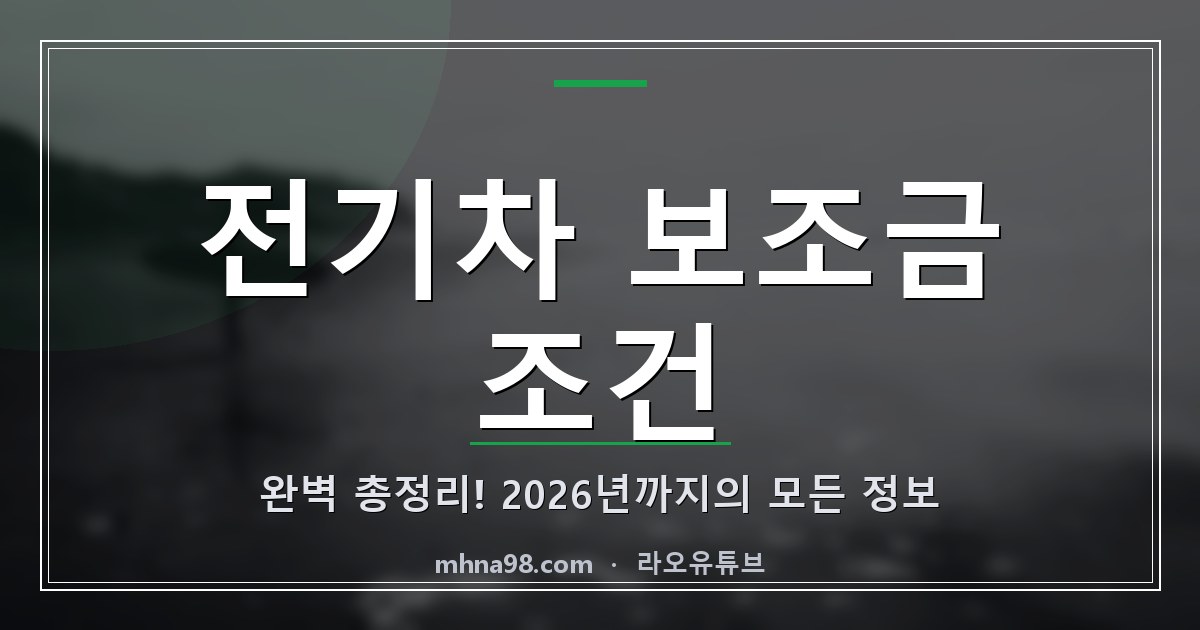 라오유튜브 | 전기차 보조금 조건 완벽 총정리! 2026년까지의 모든 정보 전기차 보조금 조건에 대한 정보