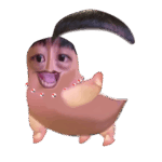 라오유튜브 | 자유게시판